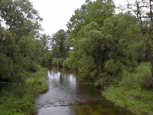 2001.08.07 14.15.26.jpg